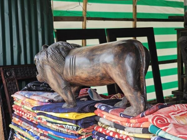 17915487870095002700325975527155 Big lion weight 15kg