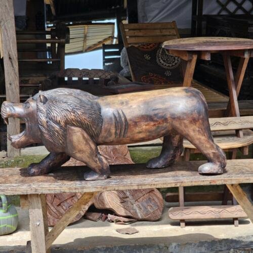 Big lion weight 15kg