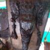 17920568737146821287676947138678 Crocodile hand bag