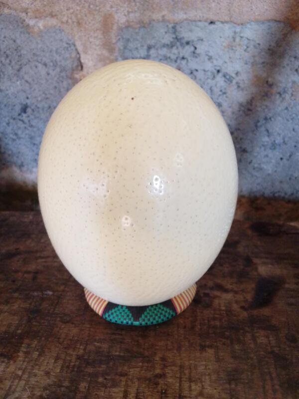 Ostrich eggs