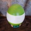 Ostrich eggs