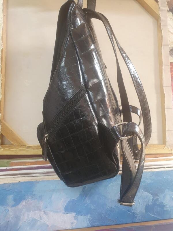 17921530271032689855291743494877 Backpack